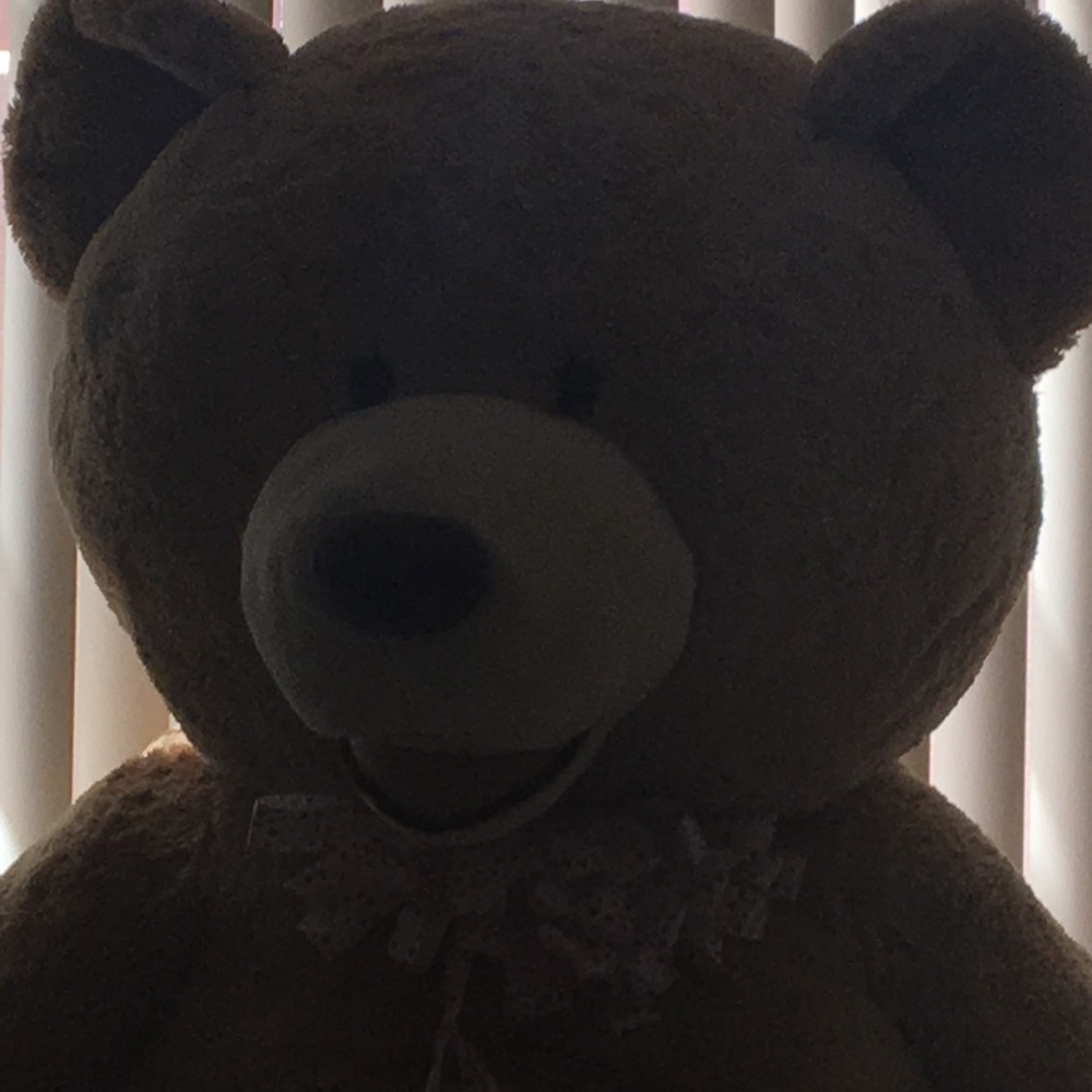 Meet your Posher, Maria